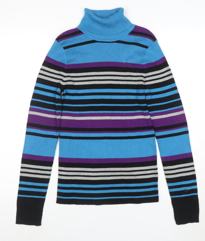 Northern Reflections Womens Multicoloured M Roll Neck Stripe Jumper