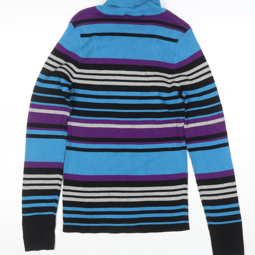 Northern Reflections Womens Multicoloured M Roll Neck Stripe Jumper