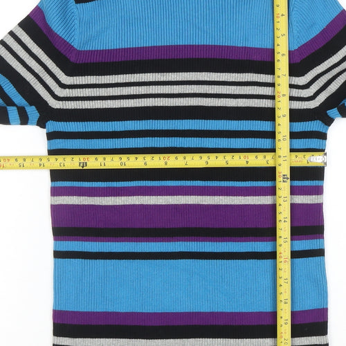 Northern Reflections Womens Multicoloured M Roll Neck Stripe Jumper