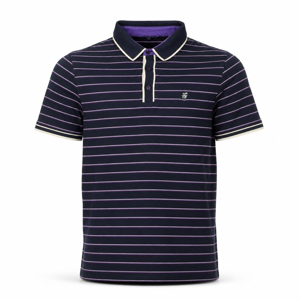Front view of Ted Baker Men's Blue Striped Polo Shirt, size L, Cotton Blend