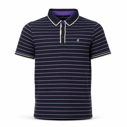 Front view of Ted Baker Men's Blue Striped Polo Shirt, size L, Cotton Blend