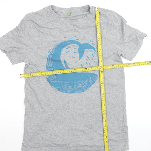 Rapanui Men's Grey Whale Graphic T-Shirt Size M Organic Cotton