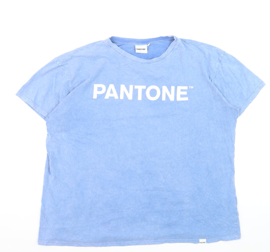 Pantone Womens Blue Basic Cotton Crew Neck T-Shirt Size 16