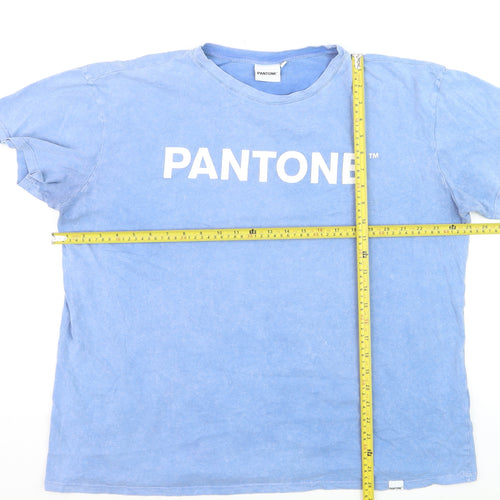 Pantone Womens Blue Basic Cotton Crew Neck T-Shirt Size 16