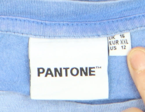 Pantone Womens Blue Basic Cotton Crew Neck T-Shirt Size 16