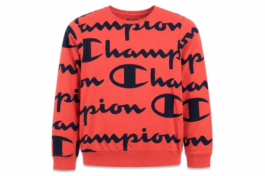 Front view of Champion women’s red crew neck pullover sweatshirt, size L
