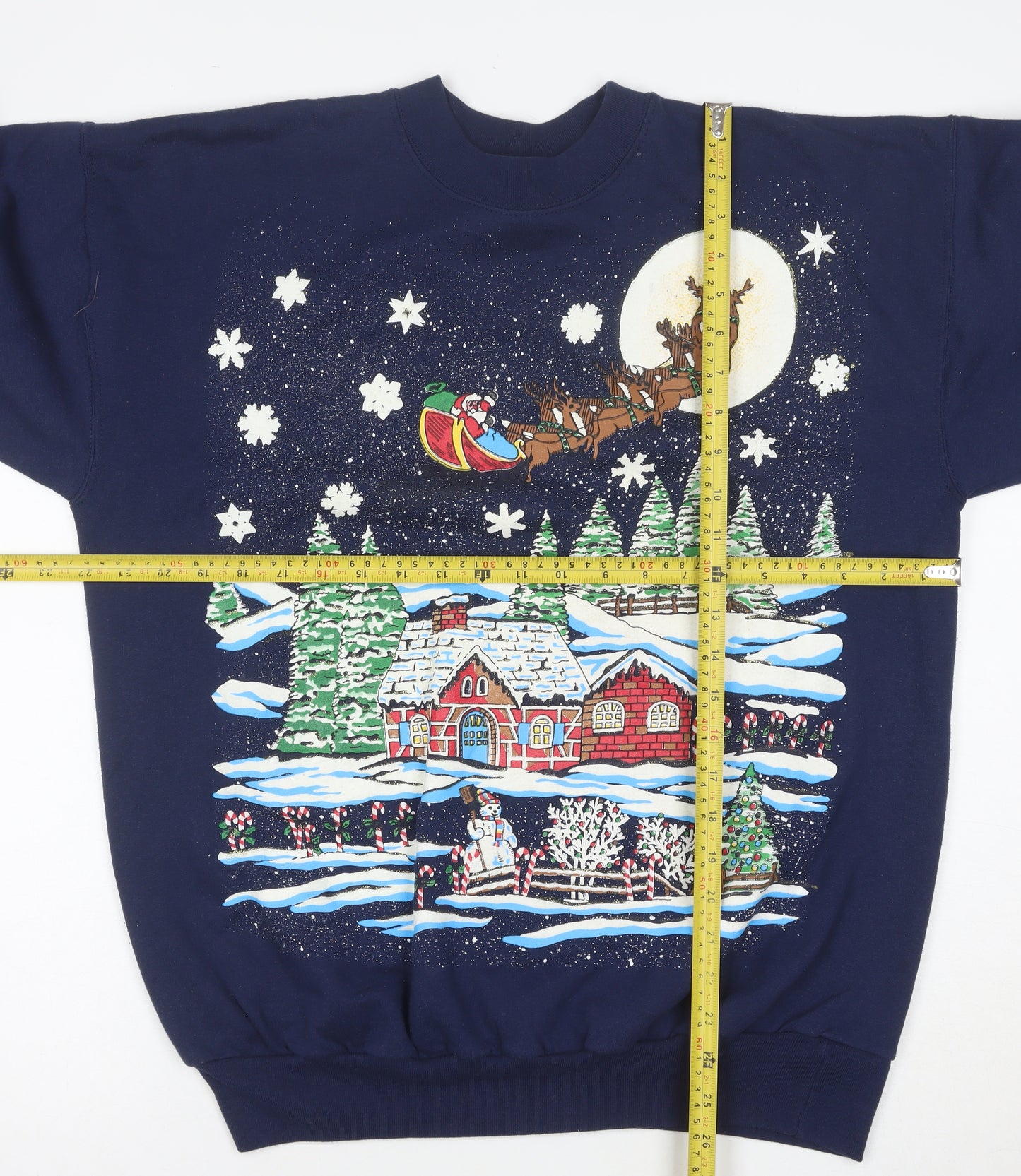 Hanes Men’s Blue Christmas Graphic Pullover Sweatshirt L