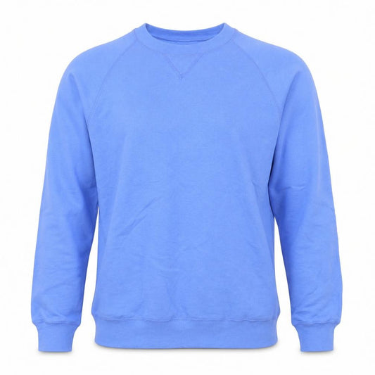 Front view of Hanes Men's Blue Pullover Crew Neck Sweatshirt, size S