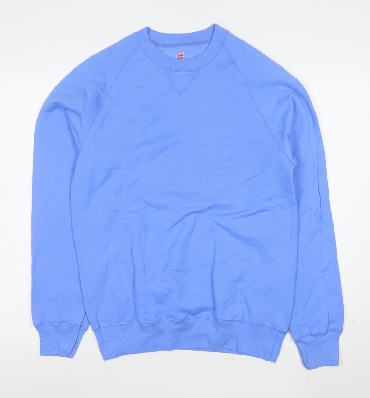 Hanes Men's Blue Small Pullover Crew Neck Sweatshirt