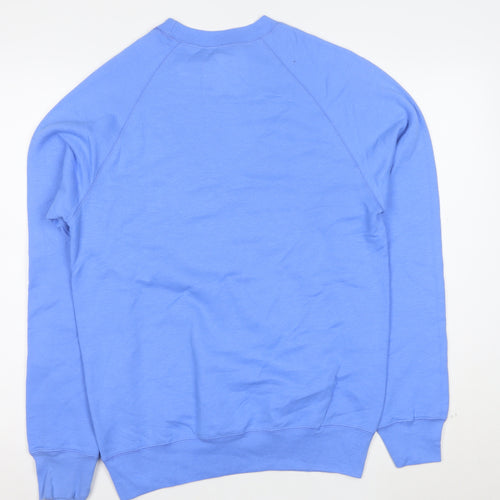 Hanes Men's Blue Small Pullover Crew Neck Sweatshirt