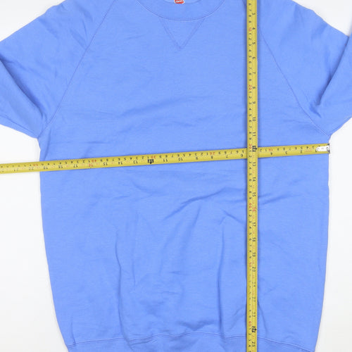 Hanes Men's Blue Small Pullover Crew Neck Sweatshirt