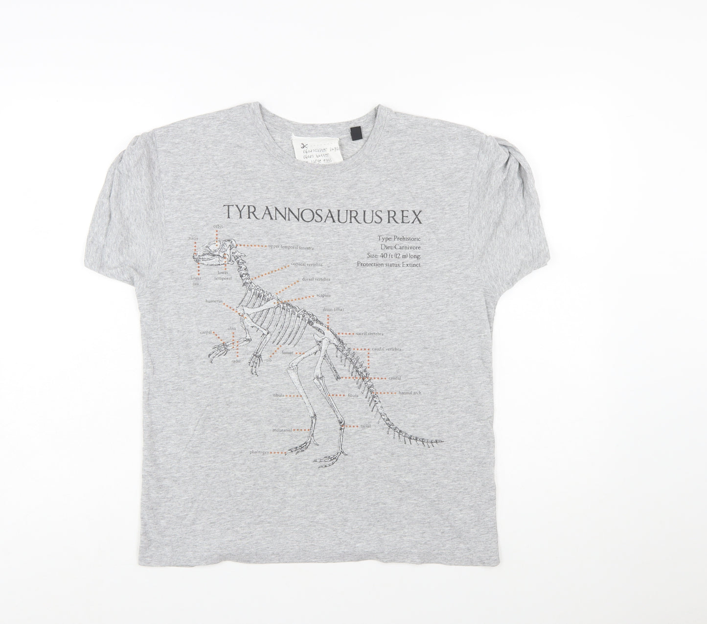 Topshop Women’s Grey Dinosaur Print Short Sleeve T-Shirt Size L