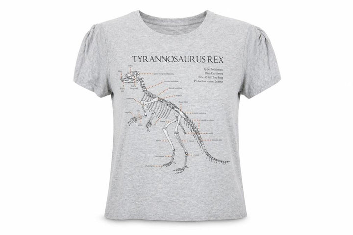 Topshop Women’s Grey Dinosaur Print Short Sleeve T-Shirt Size L