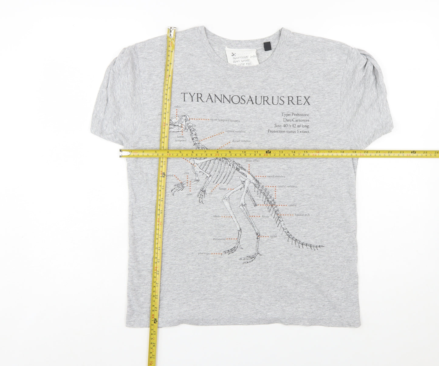 Topshop Women’s Grey Dinosaur Print Short Sleeve T-Shirt Size L