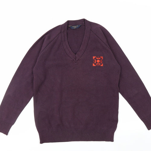 Stevensons Men's Purple V-Neck Cotton Blend Jumper M