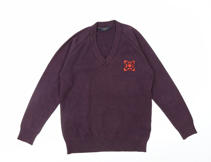 Stevensons Men's Purple V-Neck Cotton Blend Jumper M