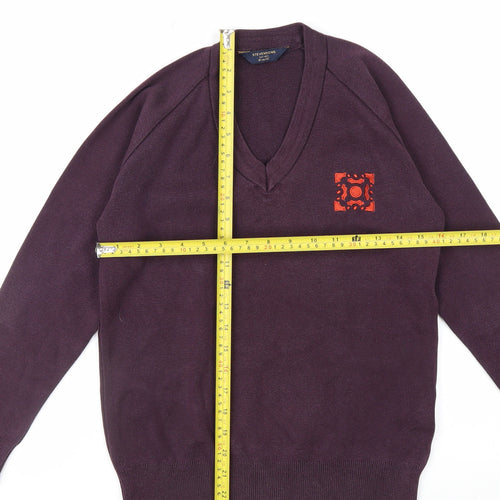 Stevensons Men's Purple V-Neck Cotton Blend Jumper M