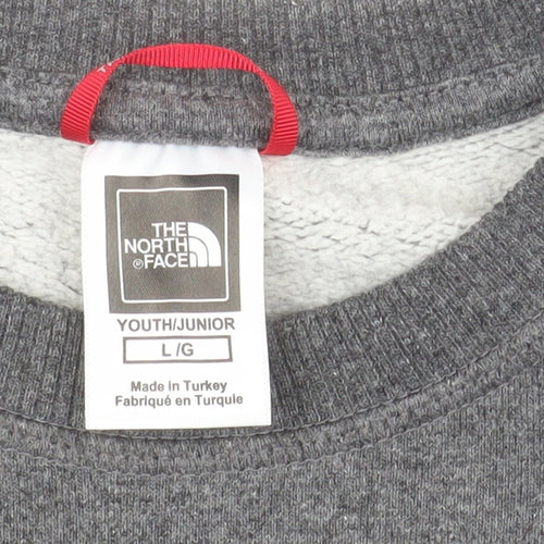 The North Face Boys Grey Pullover Fleece Sweatshirt L Graphic Logo