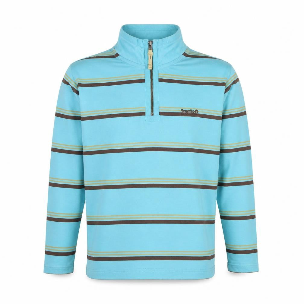 Front view of Regatta Men's Blue Striped 1/4 Zip Cotton Sweatshirt, size M