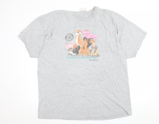 Disneyland Resort Men’s Grey 2XL Vintage Disney Villains Graphic T-Shirt