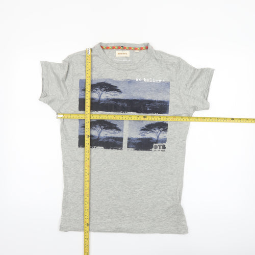 Diesel Men's Grey Graphic Print Cotton T-Shirt Size S
