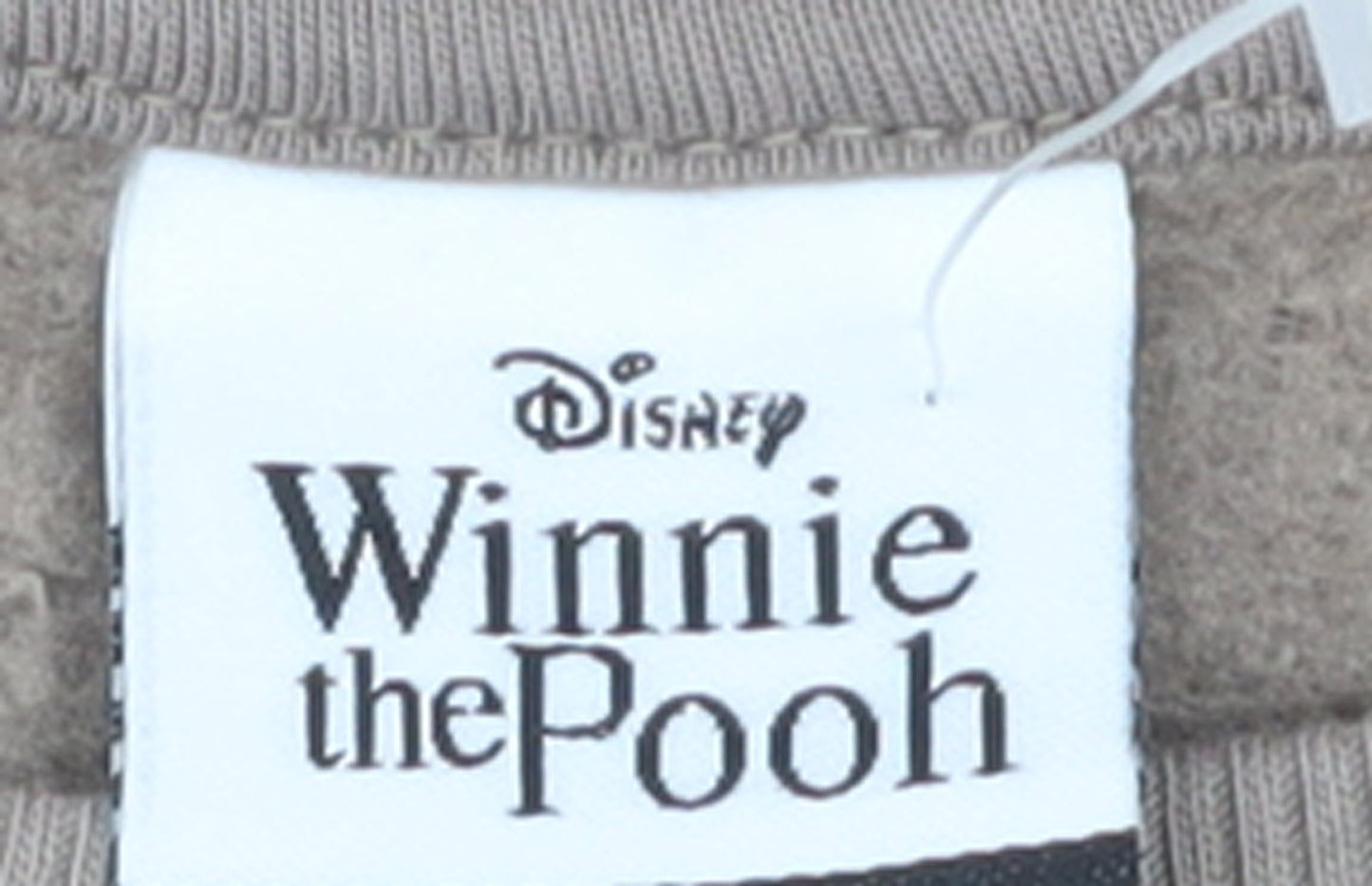 Disney Winnie the Pooh Women's Brown XL Pullover Sweatshirt