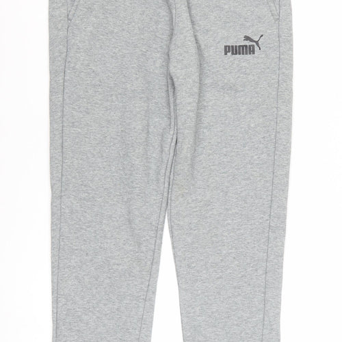 Puma Men’s Grey Sweatpants Joggers M Regular Fit