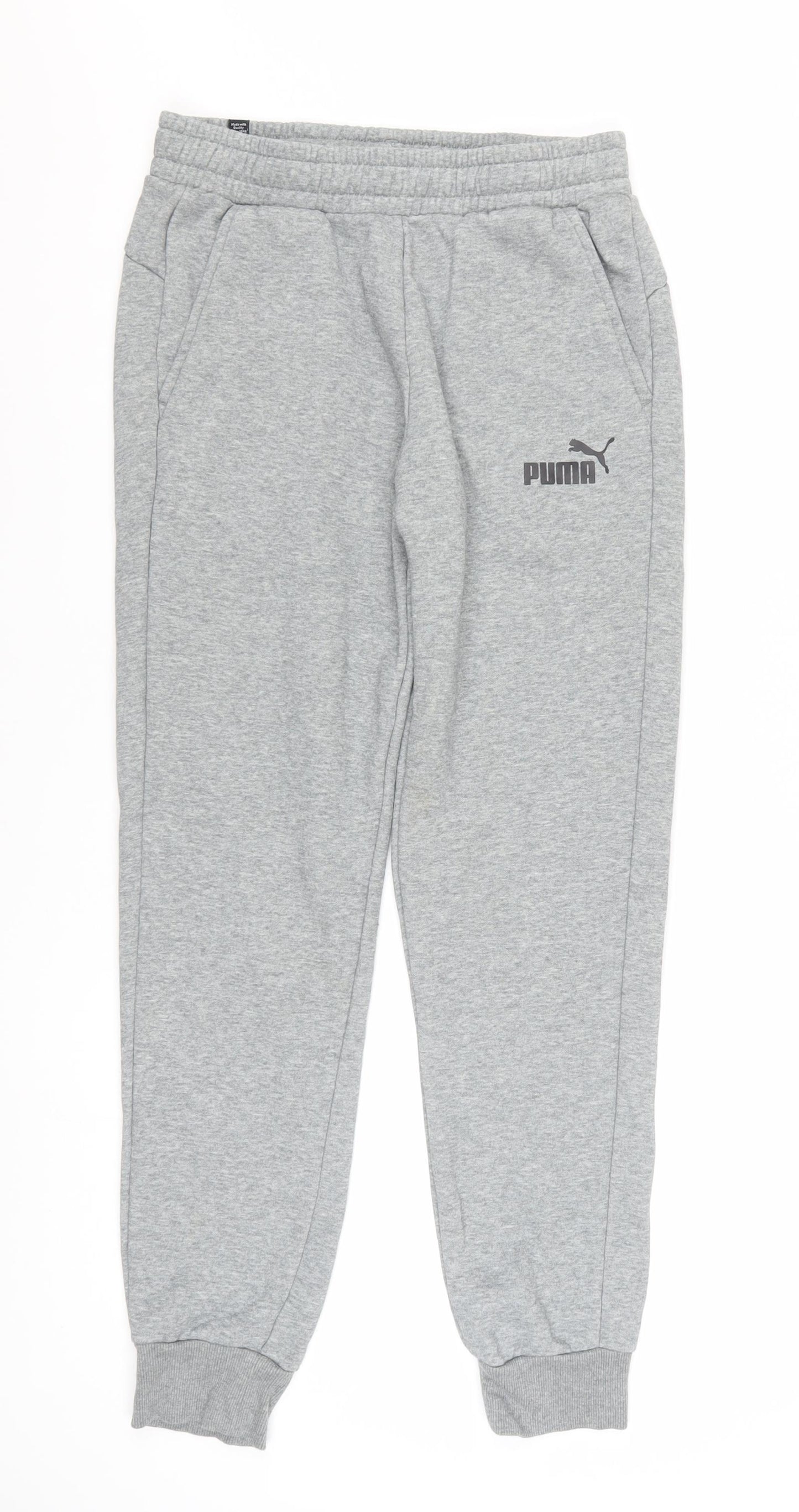 Puma Men’s Grey Sweatpants Joggers M Regular Fit