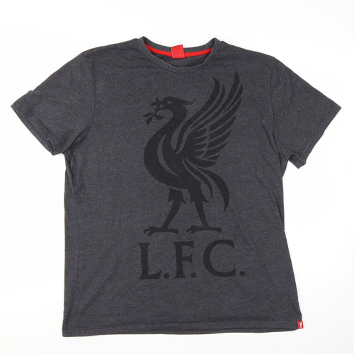 Liverpool FC Men's Grey LFC Graphic Cotton Blend T-Shirt Size L