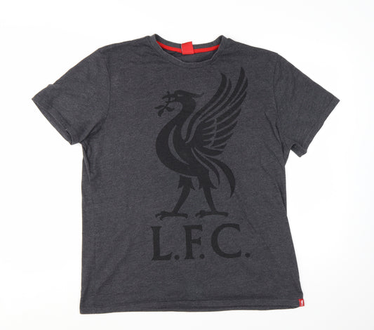 Liverpool FC Men's Grey LFC Graphic Cotton Blend T-Shirt Size L