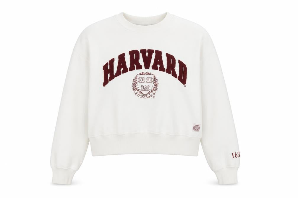 Front view of Harvard Men's White Pullover Sweatshirt Medium Embroidered Logo