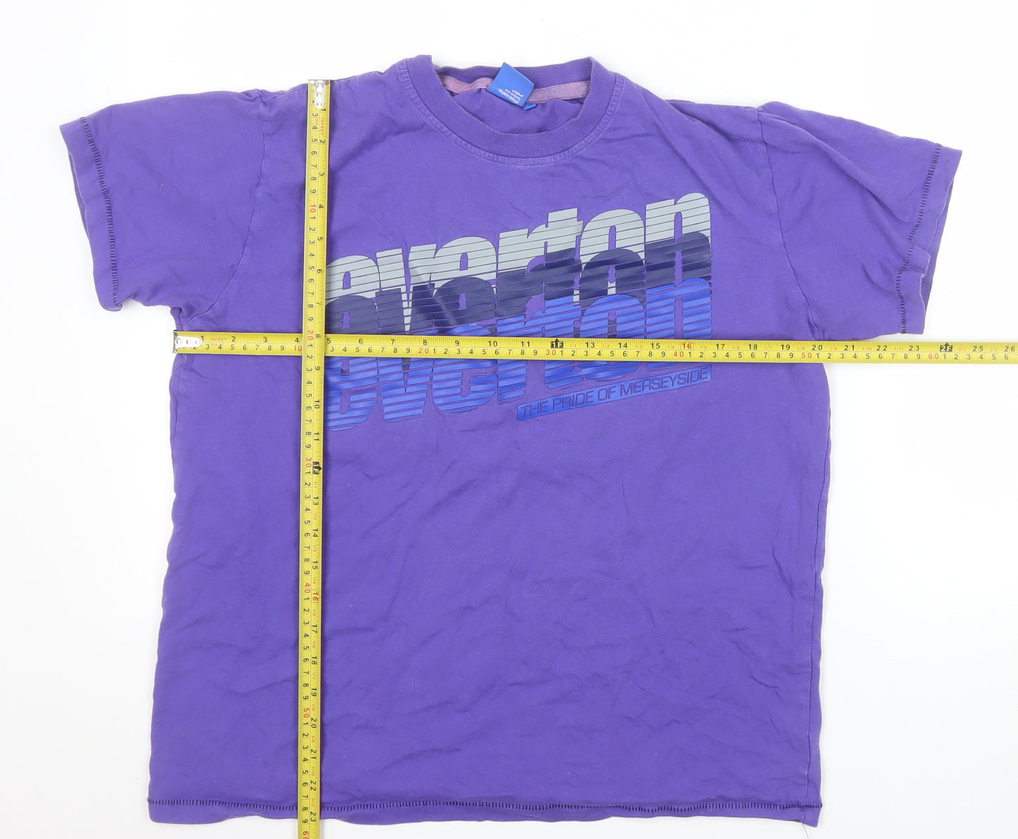 Everton Men's Purple Graphic Football T-Shirt Size M