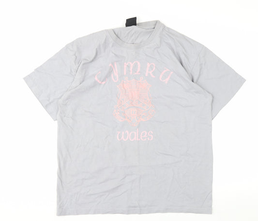 Manav Premier Clothing Unisex Grey Cymru Wales Cotton T-Shirt XL