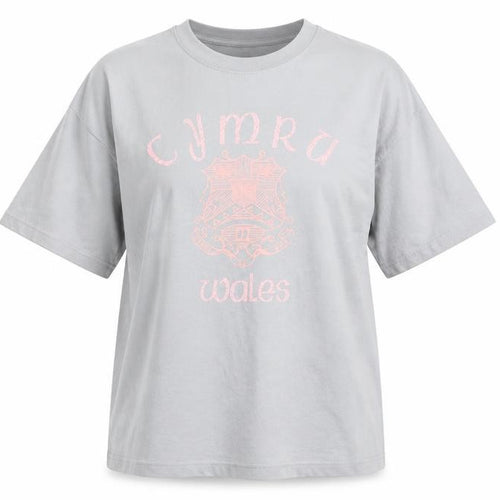 Manav Premier Clothing Unisex Grey Cymru Wales Cotton T-Shirt XL
