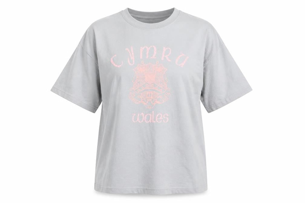Manav Premier Clothing Unisex Grey Cymru Wales Cotton T-Shirt XL