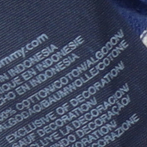 Tommy Hilfiger Boys Blue Striped Cotton Polo Shirt L 12-14 Years