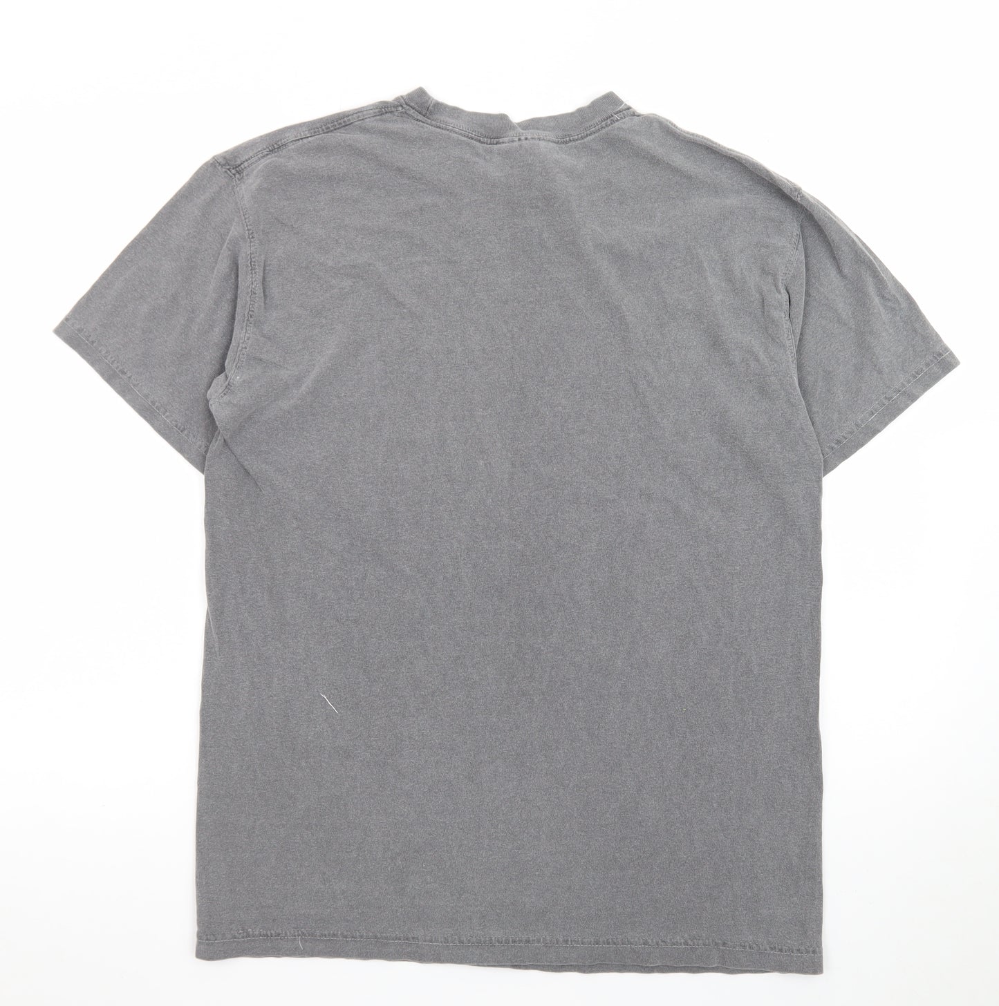 Comfort Colors Men’s Grey Harry Potter Quote T-Shirt Size M