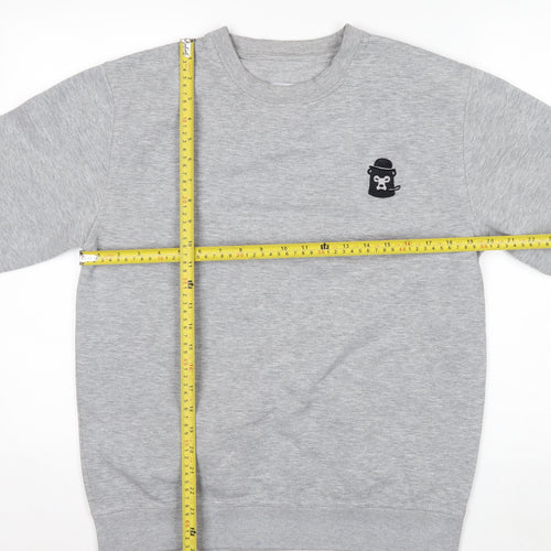 Brickbear Men's Grey Sweatshirt Medium Pullover Graphic Logo