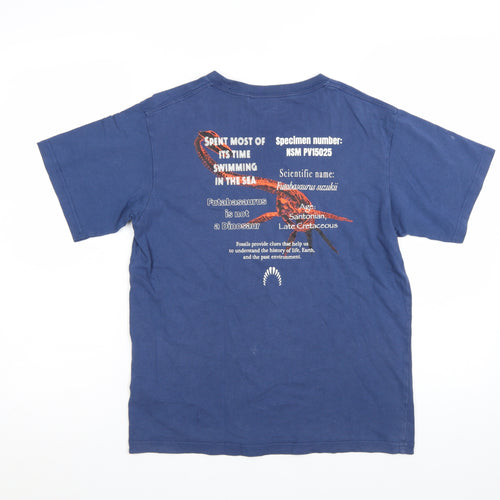 Uniqlo Boys Blue Graphic Futabasaurus T-Shirt 13-14 Years Cotton Casual