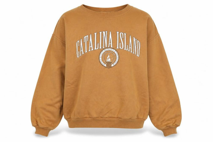 Hollister Women’s Brown Catalina Island Pullover Sweatshirt M Casual