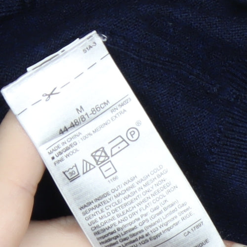 GAP Men's Blue Merino Wool V-Neck Pullover Sweater M