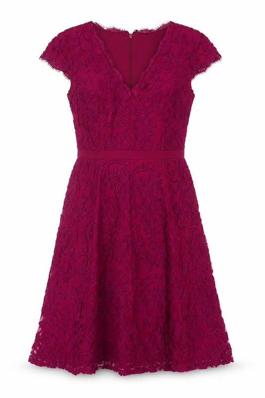 Front view of Adrianna Papell Women Purple Lace A-Line Dress, size 8
