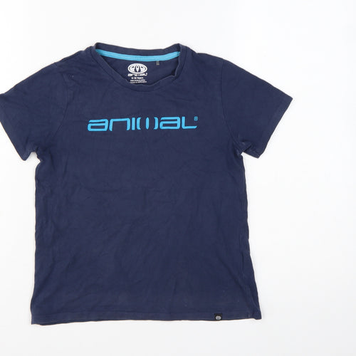 Animal Boys Blue 9-10 Years Cotton Crew Neck Short Sleeve T-Shirt