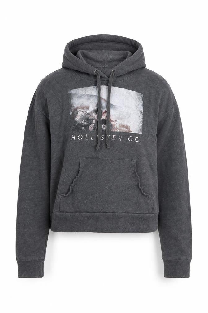 Front view of Hollister Women Grey XS Pullover Hoodie with Graphic Print