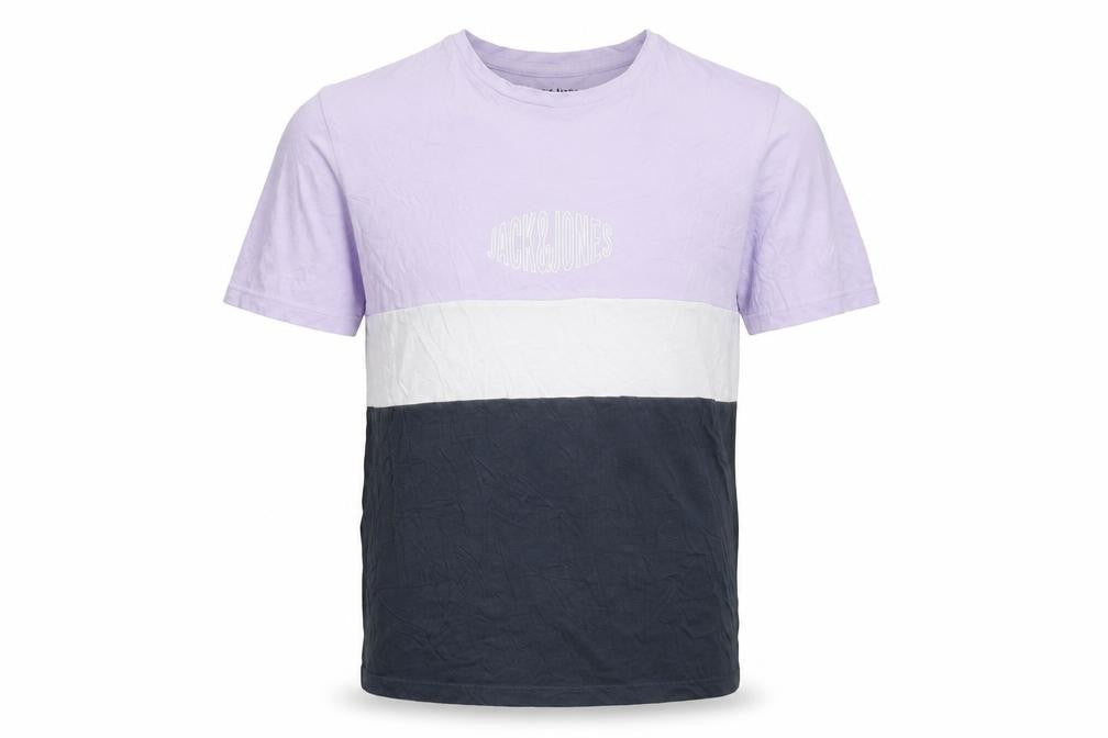 Jack & Jones Men's Lilac Colourblock Crew Neck Cotton T-Shirt M