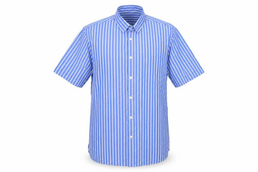 Front view of Dunnes Men's Blue Classic Fit Striped Short Sleeve Cotton Shirt M