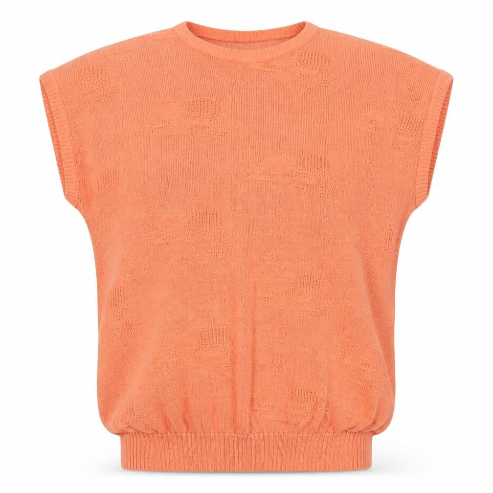 Front view of Helen Harper Women Orange S Sleeveless Geometric Knit jumper