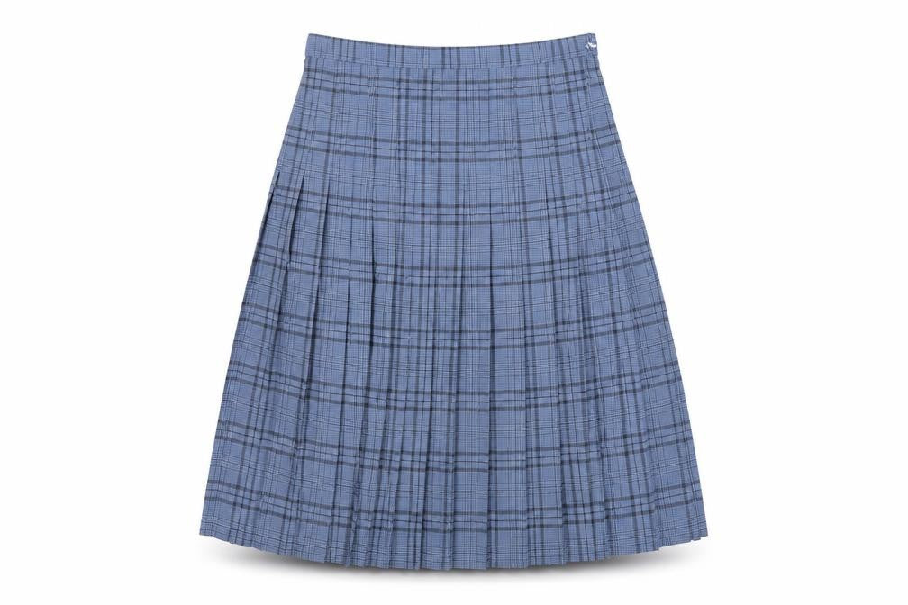 Honor Milburn EWM Women Blue Plaid Pleated Knee Length Skirt UK 16