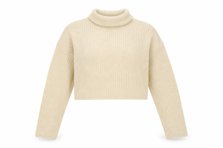 Missguided Women Ivory UK 8 Roll Neck Chunky Knit Cropped Jumper