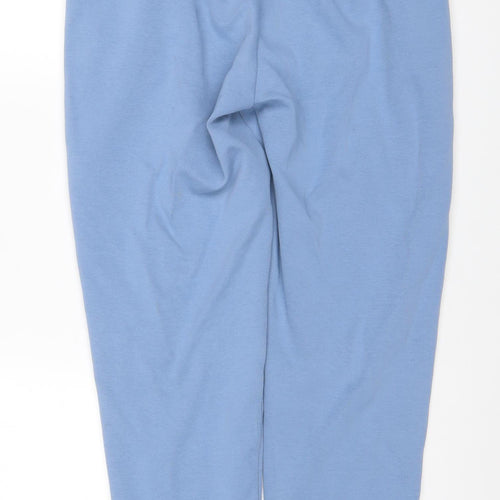 Puma Men’s Blue L Jogger Track Pants Elastic Waist Pockets